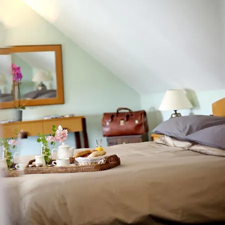 Logis Saint-roch 3* Pleumartin